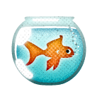 Guldfisk